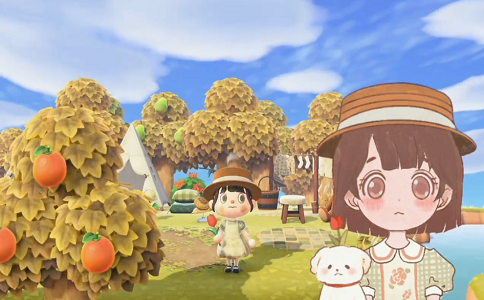 1651826755399873.png 动物森友会精选岛建素材来啦 森系绘分享.png