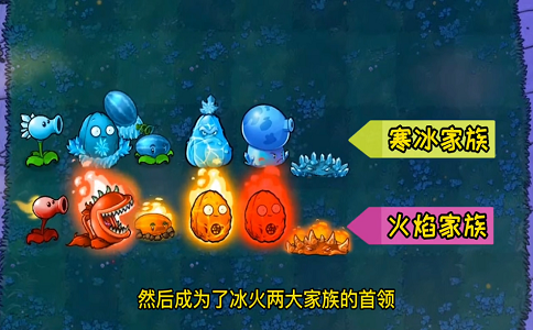 1654151032276335.png 植物大战僵尸冰豌豆和火豌豆一起去救爸爸谁能成功.png