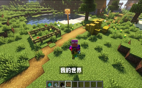 我的世界大家偷偷在用的8个生存技巧